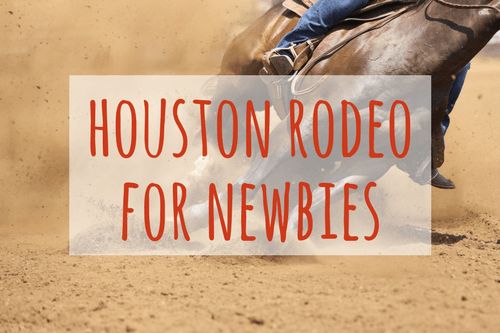 houston rodeo for newbies