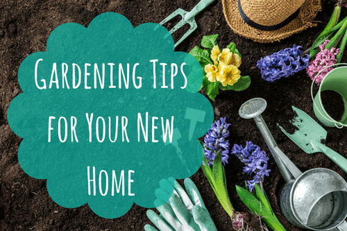 gardening tips garden tools soil flowers and hat