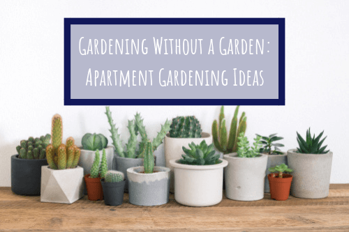 apartment gardening ideas