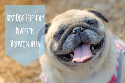 dog friendly places in houston